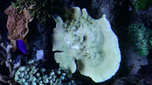 20140531_195036.jpg