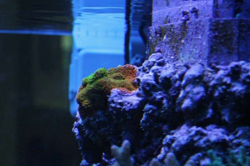 IMG_0133.JPG