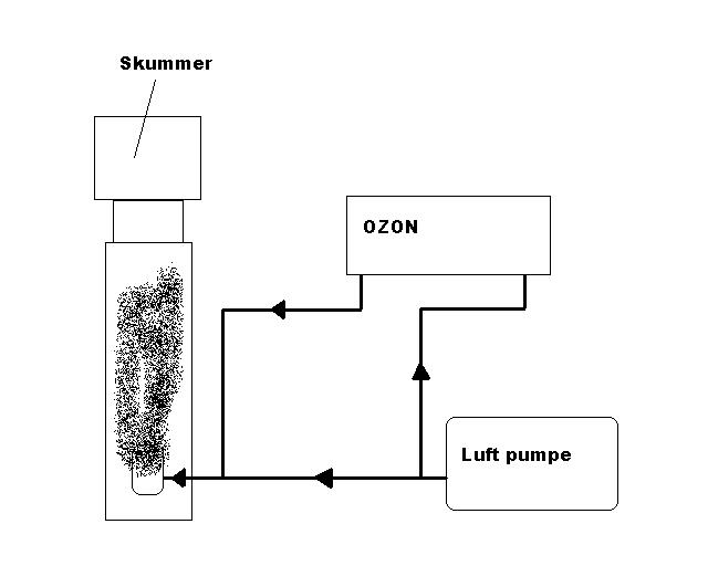 ozon.JPG