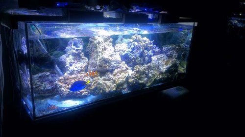 160L midlertidigt ophold...