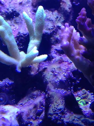 IMG_1095.jpg