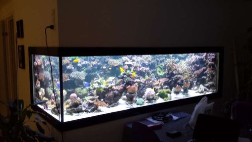 20140423_202530.jpg