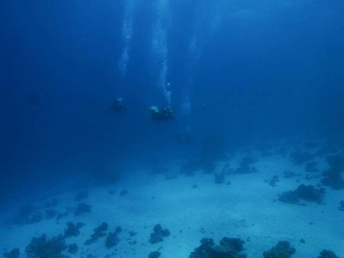 M0013004 (Medium).jpg