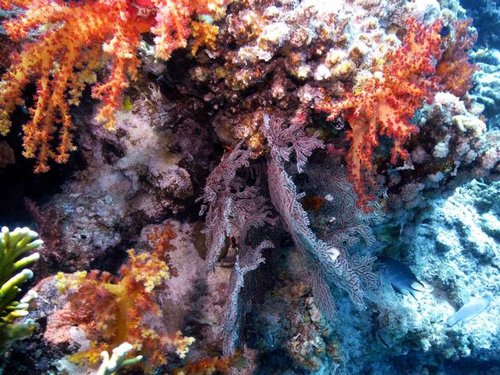 M0013134 (Medium).jpg
