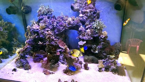 IMAG0002_1.jpg