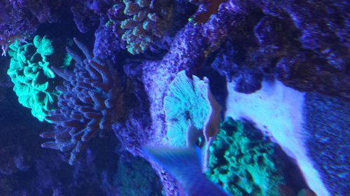 20140620_120952.jpg
