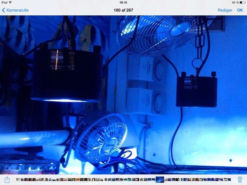Kessil 350w Tuna Blue