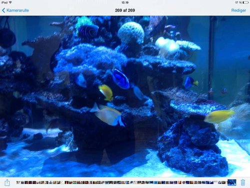 image.jpg (52.23 KiB) Vist 795 gange Update fisk