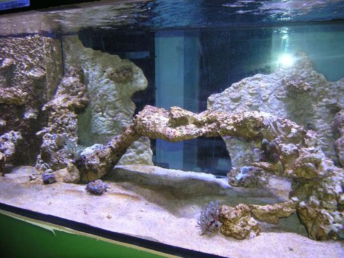 P1010121.JPG