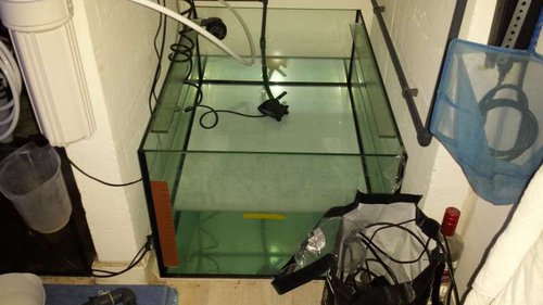 osmosetank 160 L