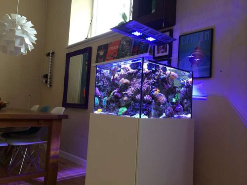 image.jpg (40.06 KiB) Vist 358 gange image.jpg