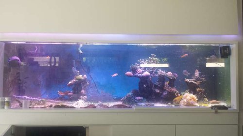 20140702_105731.jpg