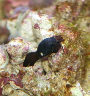 IMG_5387 (WinCE).JPG