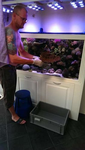 2014-07-19 15.57.24.jpg