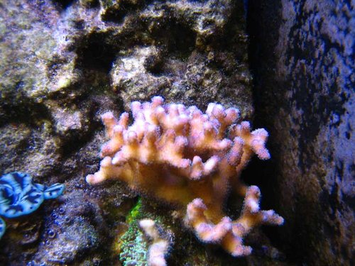 IMG_0005.JPG