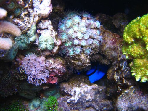 IMG_0014.JPG