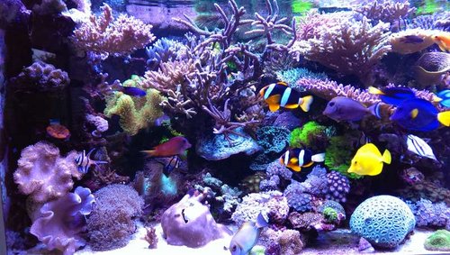 2014-07-26 19.37.49.jpg