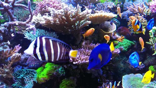 2014-07-26 19.38.07.jpg