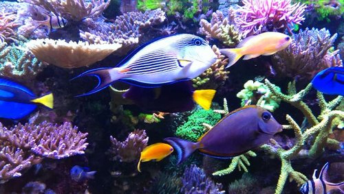 2014-07-26 19.38.27.jpg