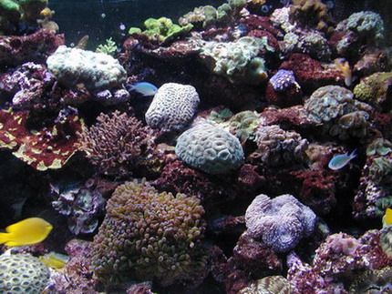 P8190024-1.jpg
