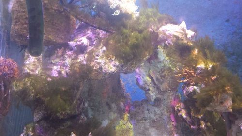 20140803_190213.jpg