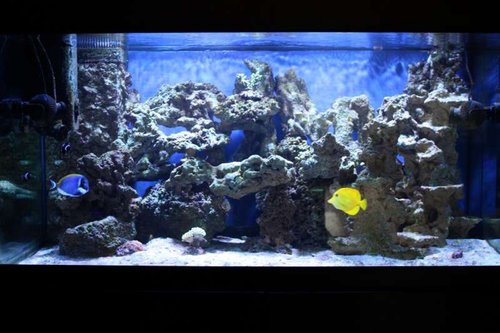 IMG_3760 (Large).JPG