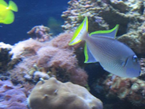 IMG_0076.JPG