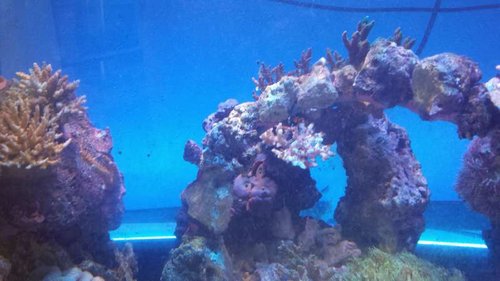 20140809_101445.jpg