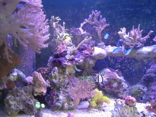 20140810_155640.jpg