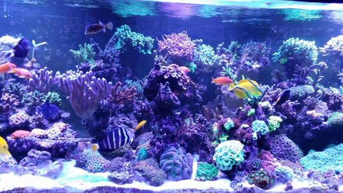 20140810_202934.jpg