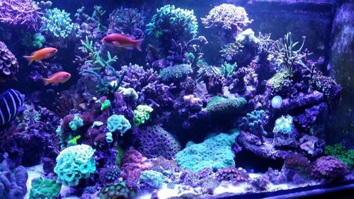 20140810_202943.jpg