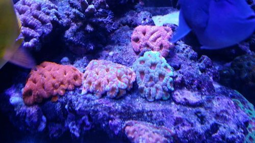 20140810_202847.jpg