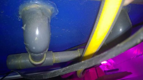 WP_20140817_002.jpg