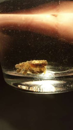 2014-08-18 11.24.37.jpg