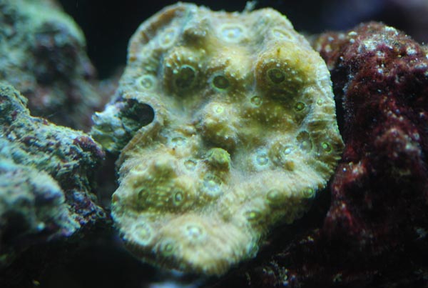 DSC_0511.jpg