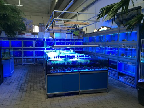 horsens pv 006.jpg