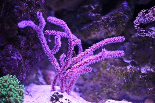 20140901-IMG_6493.jpg