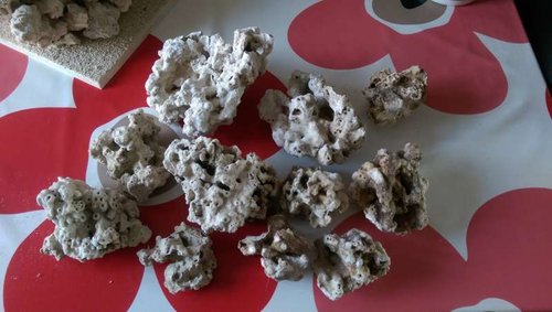 IMAG0609.jpg