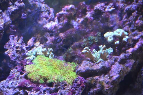 NCM_1666.jpg