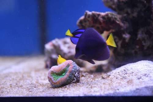 IMG_2924.JPG