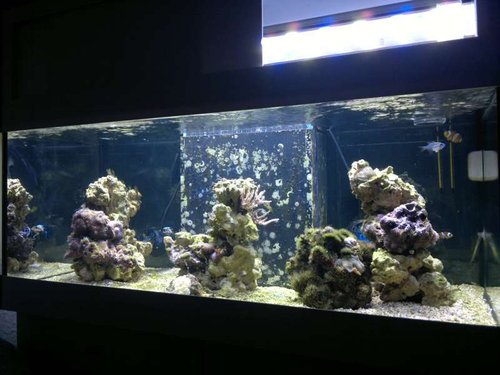 FTS