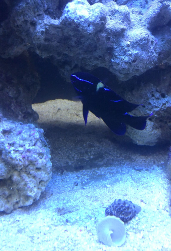 2014-09-07 09.39.06.png