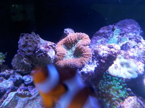 20130703_104540.jpg