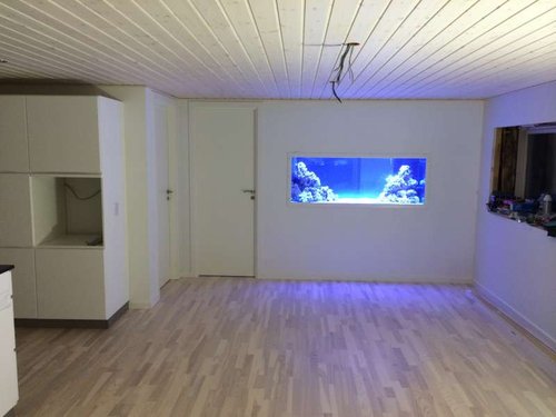 foto 3.JPG
