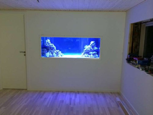 foto 1.JPG