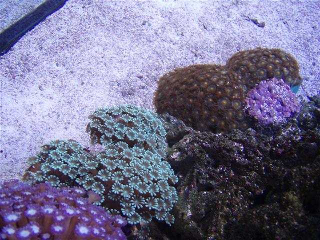 P1014059 (Large) (Small).JPG