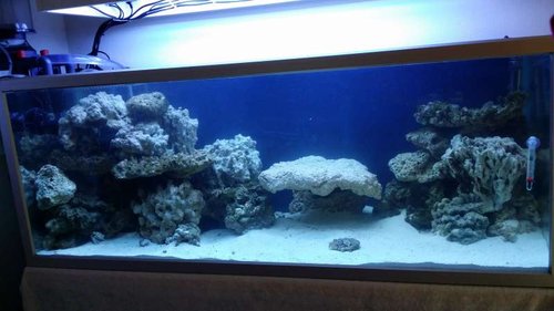 20140916_143951.jpg