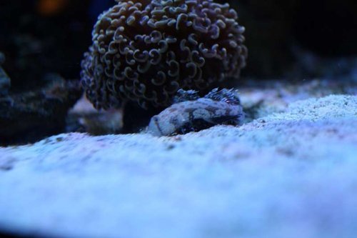 IMG_3844 (Large).JPG