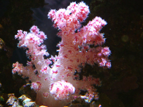 DSCF9690.jpg