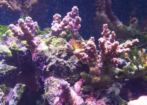 20140920_193045.jpg